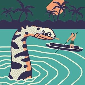 Meet your Posher, Rae